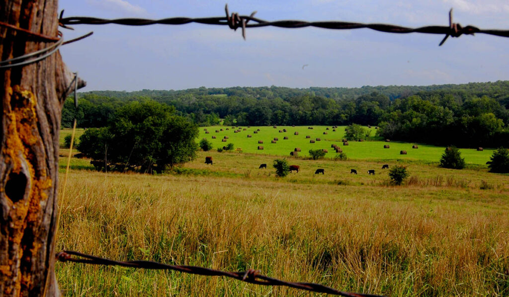 Pasture Fence Teardown/Installation